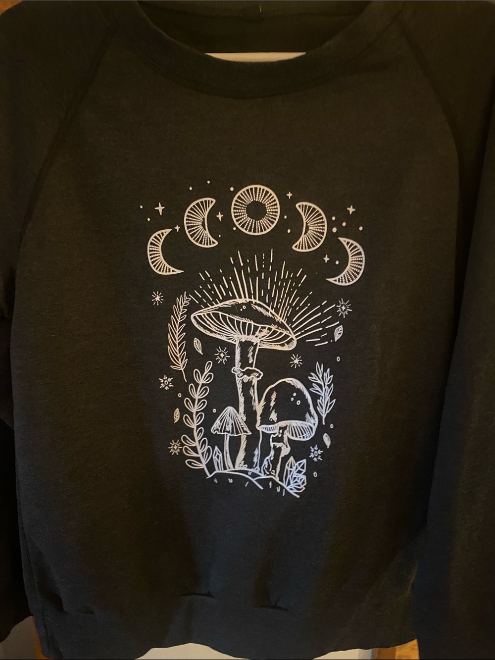 Dark Graphic Sweatshirt with Moon & Mushroom Illustration